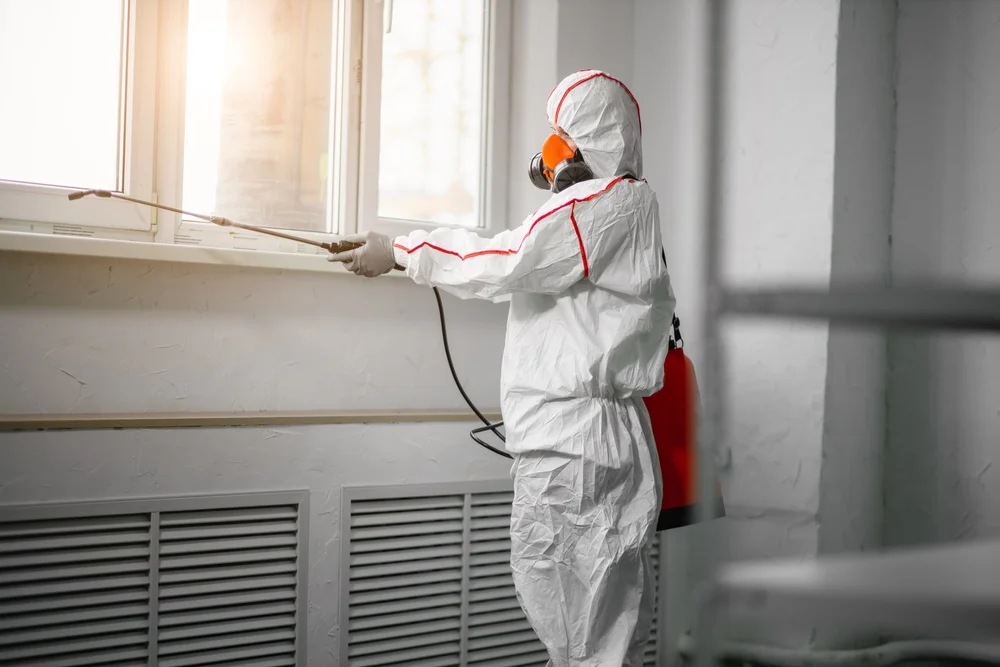 Professional mold remediation services in Okeechobee, FL